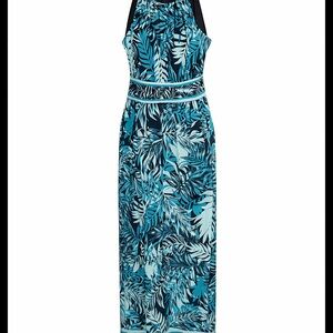 Roz & Ali Leaf Print Maxi Dress - Blue and Black